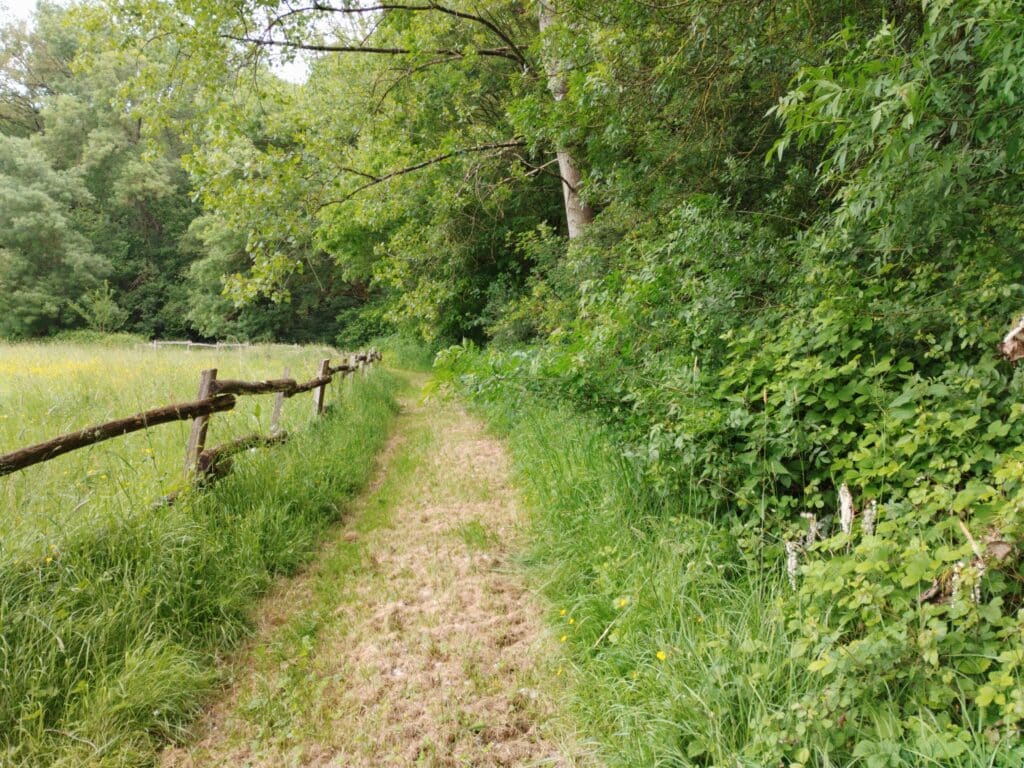 sentier la gazi les Noues, chemin près du château de la roche